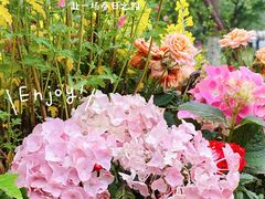 -长沙园林生态园