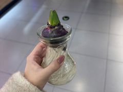 -盒马鲜生(顺义店)
