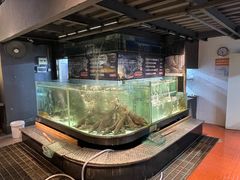 -贺庄·活鱼馆(珠吉路店)