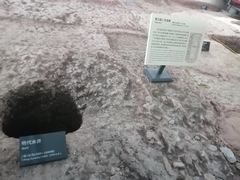 -南越王博物院(王宫展区)