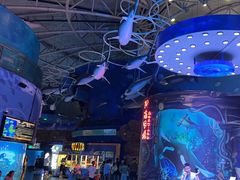 -烟台海昌鲸鲨海洋公园