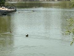 -盐城丹顶鹤湿地生态旅游区