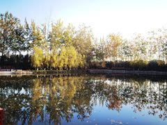 -春晖园度假酒店温泉