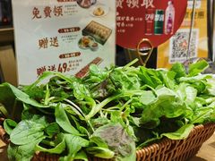 -老凯俚酸汤鱼(多彩城店)