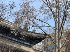 -碑林公园