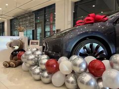 -TESLA 特斯拉(上海太古汇体验店)