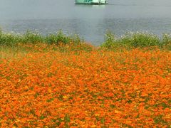 -海珠湖公园