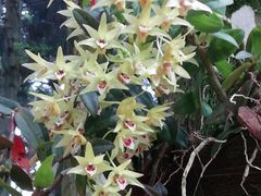 -井冈山风景名胜区-黄洋界