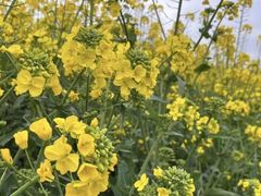 -中国天府农业博览园