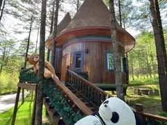 -洛阳白云山景区
