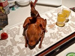 -大鸽饭(动物园店)