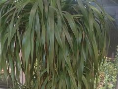 -伊斯麦尔丝路·新派菜(沙子口店)