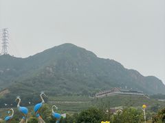-密云玫瑰情园