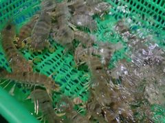 -鹰龙海畔度假酒店(咸祥店)