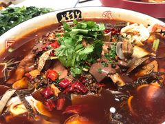 -高老庄新家宴(北斗星广场店)