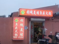 -销魂美蛙鱼头火锅(上海首店)