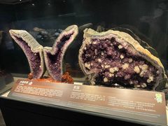 -正佳自然科学博物馆