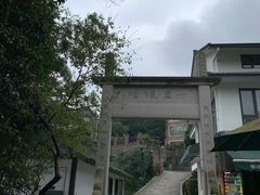 -阿巧茶庄