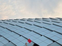 -杭州奥体中心-体育场