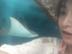 -新加坡水上探险乐园