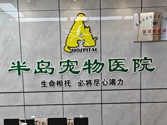 -半岛宠物医院24小时(西派城店)