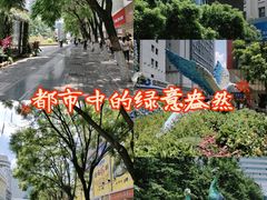 -南屏步行街