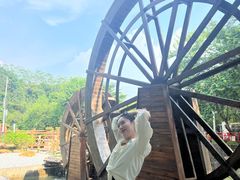 -广州白江湖森林公园