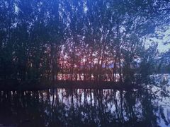 -长白岛森林公园