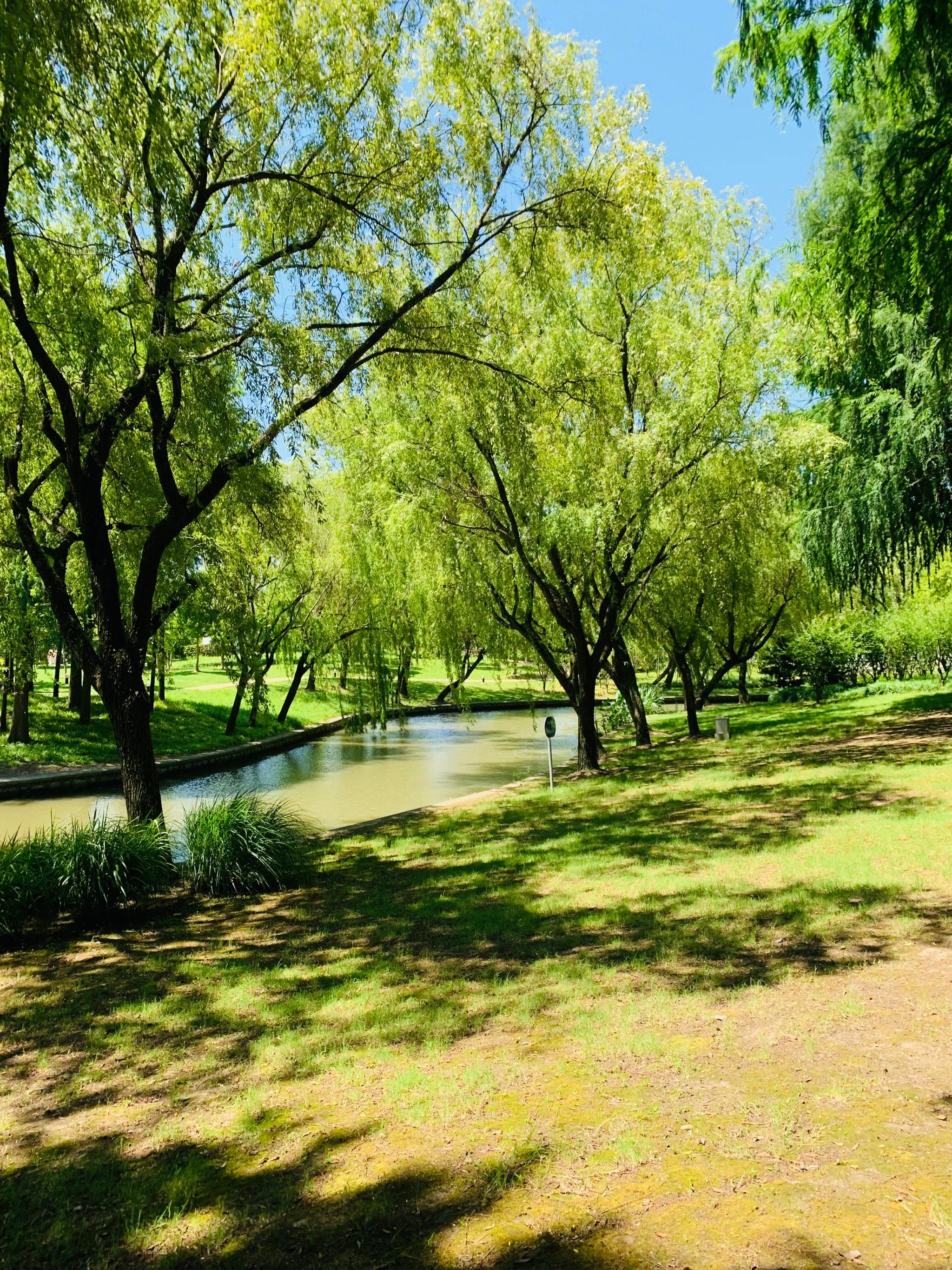 夏天在小公园里避暑,有河的地方就不会很热,风吹过来都很舒服