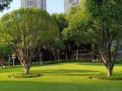 -重庆市江北嘴中央商务区中央公园