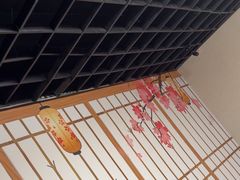 -剧狐剧本杀(徐汇1号店)