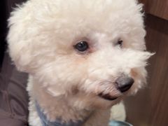 -王繁星面馆(西安熙地港店)