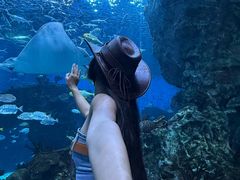 -海合安成都极地海洋公园