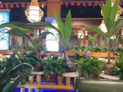 -龙泉人椰子鸡·糟粕醋·地标海南菜(龙昆南店)