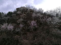 -碓臼峪自然风景区