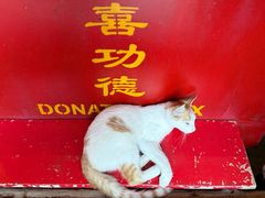 -龙华素斋(龙华路店)