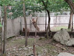 -青峰峡国家森林公园