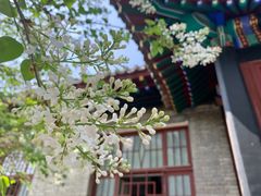 -内蒙古将军衙署博物院