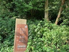 -都江堰中华大熊猫苑
