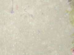 -东姑阿都拉曼海洋公园