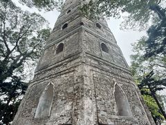 -江心屿景区