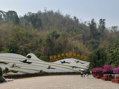 -西双版纳原始森林公园