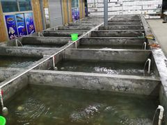 -阔澜蒸汽海鲜自助