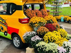 -上海共青森林公园