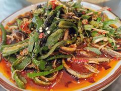 -飞虹鱼馆(春华路店)