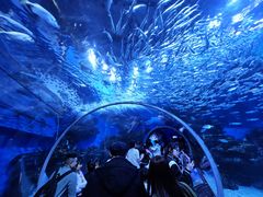 -海合安成都极地海洋公园