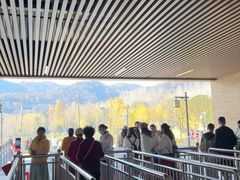 -千年银杏谷文化旅游区