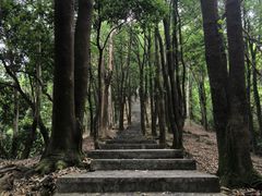 -火炉山森林公园