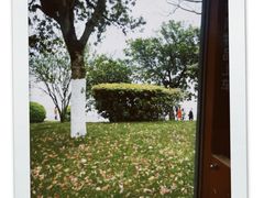 -橘子洲景区