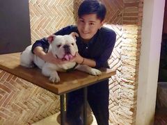 -八公叔叔宠物美容连锁(春申店)